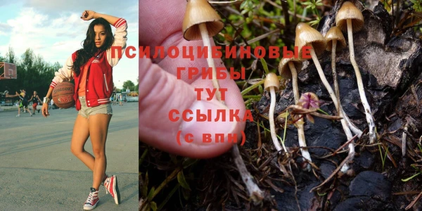 амфетамин Елизово