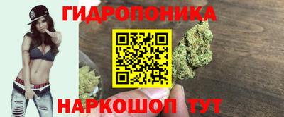 крисы Владивосток