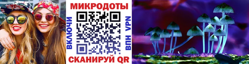 наркота  mega как зайти  Галлюциногенные грибы прущие грибы  Саки 