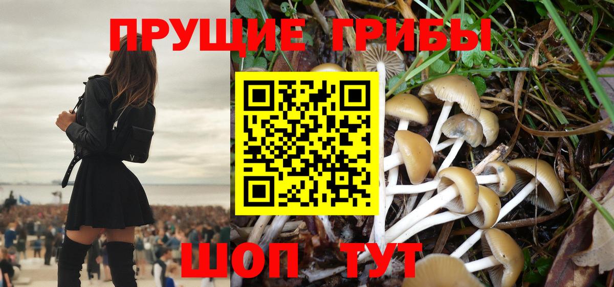 Галлюциногенные грибы Cubensis  Вход с VPN  Саки 